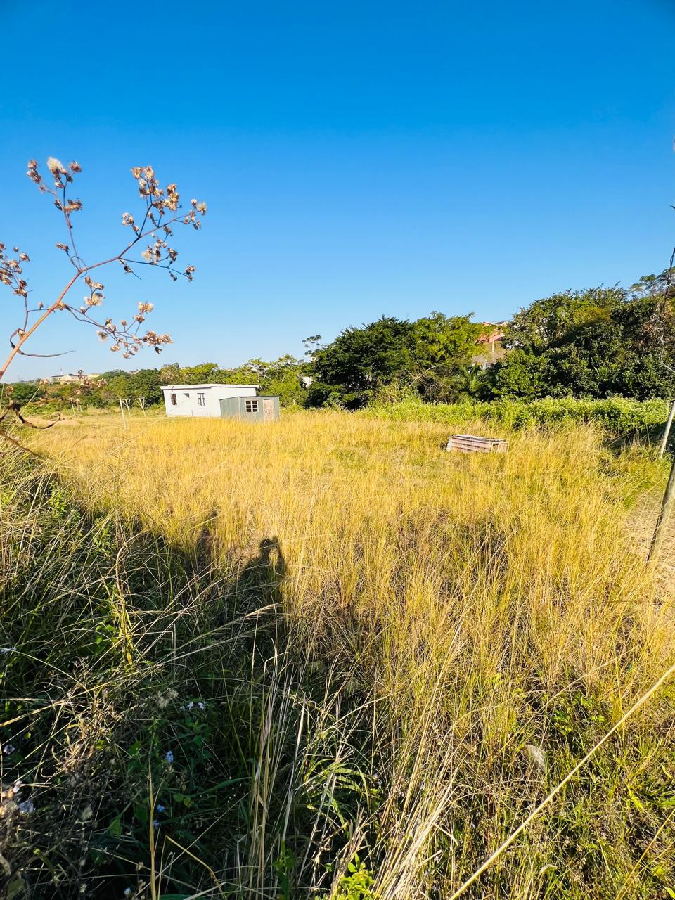 Vacant land / plot for sale in Lower Illovo P24114581274