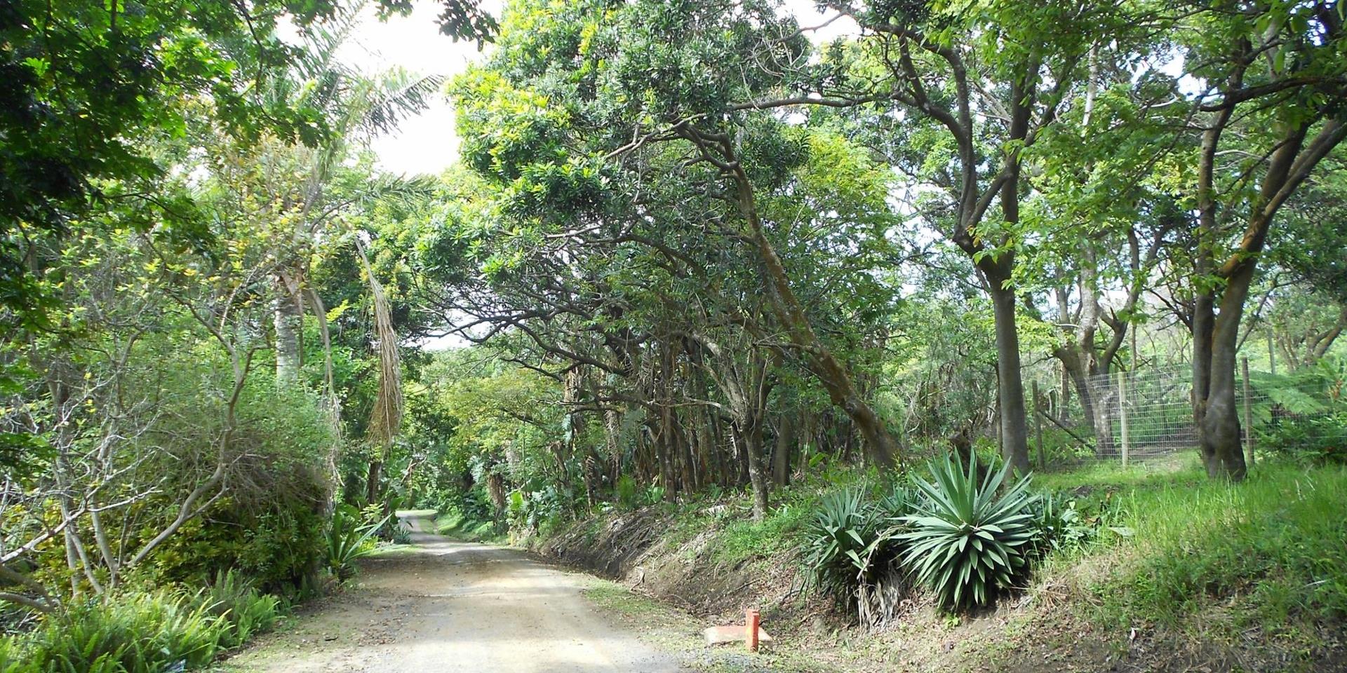 Vacant land / plot for sale in Glenmore P24114592466