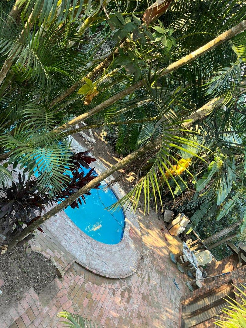 3 Bedroom House to rent in Westville Bidhurst Road P24114599139