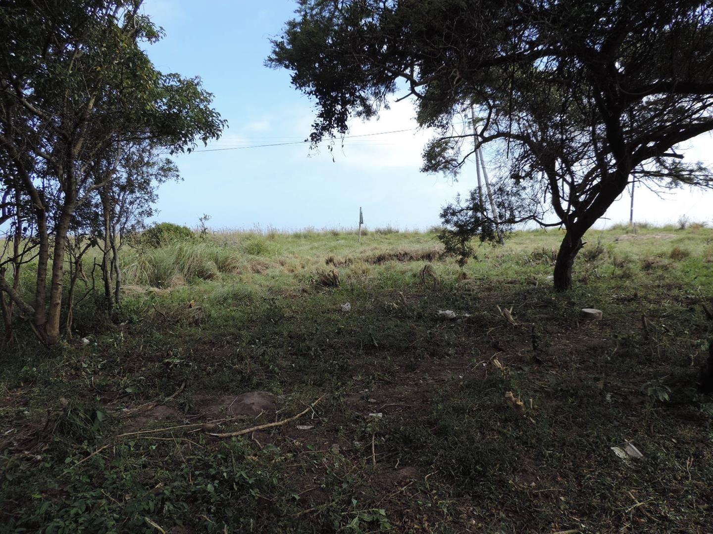 Vacant land / plot for sale in Bay 367 Tanglewood Road P24