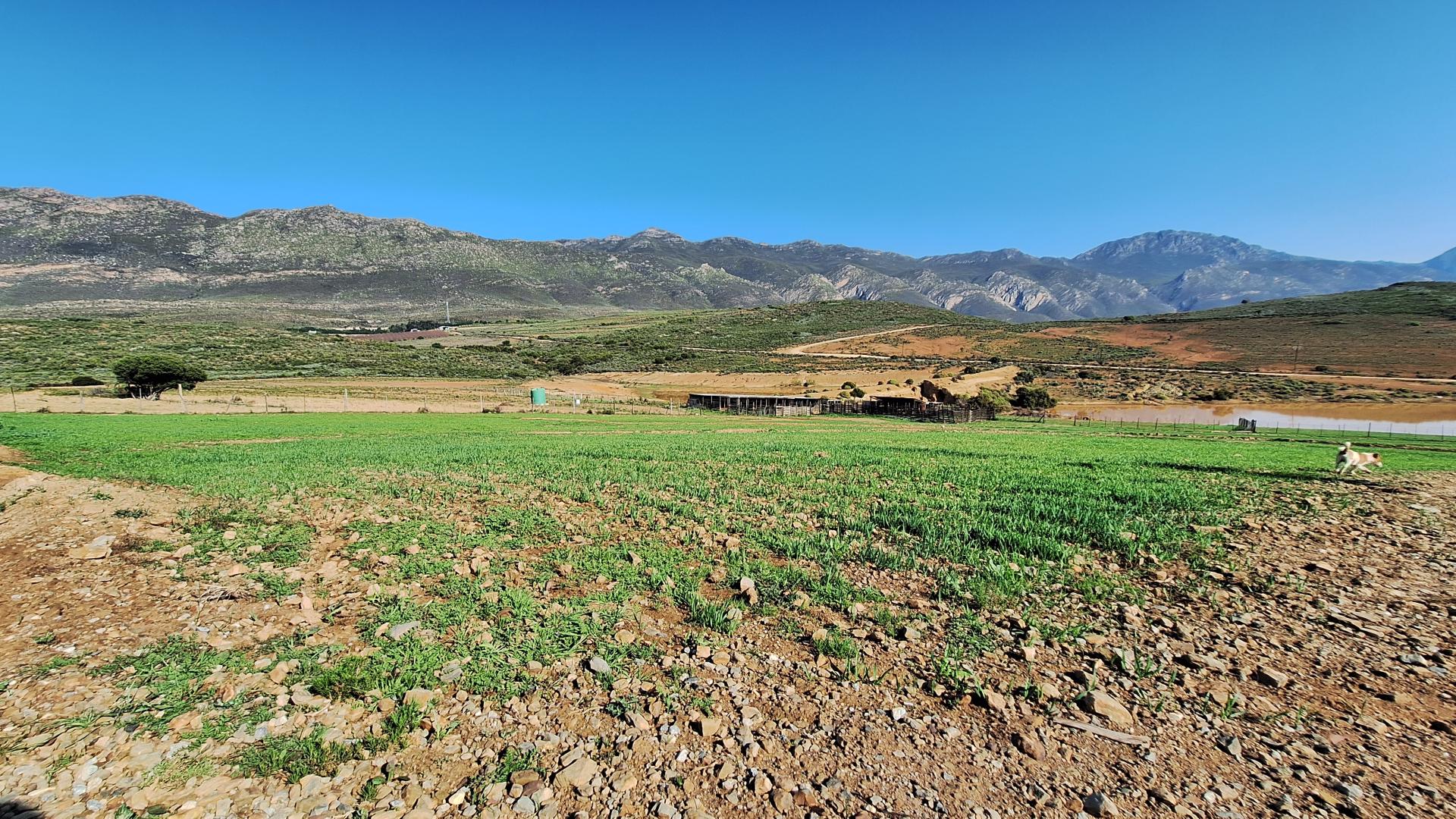 Montagu Rural Property Property and houses for sale in Montagu Rural