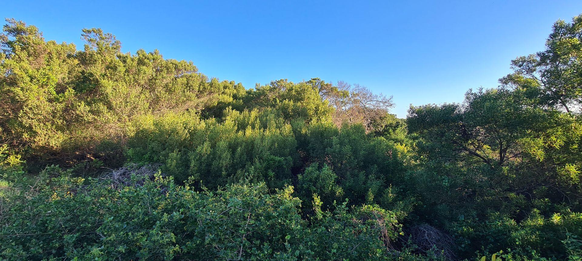 Vacant land / plots for sale in Jeffreys Bay Jeffreys Bay Property