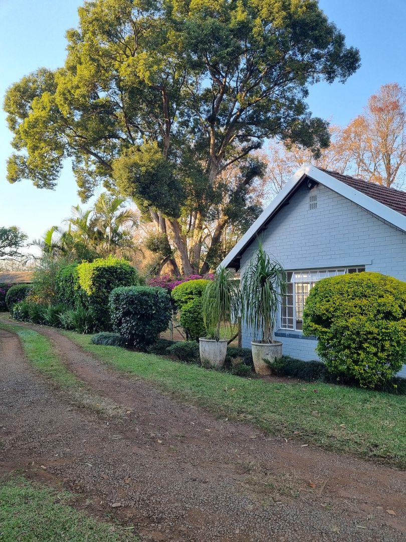 Hillcrest Central Property Property and houses to rent in Hillcrest