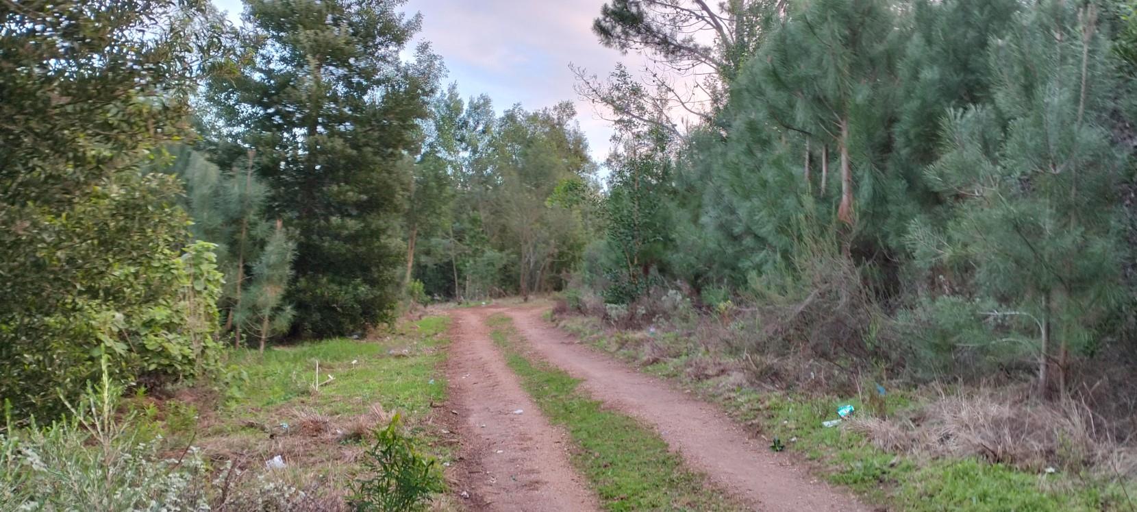 Vacant land / plot for sale in Friemersheim P24114616965