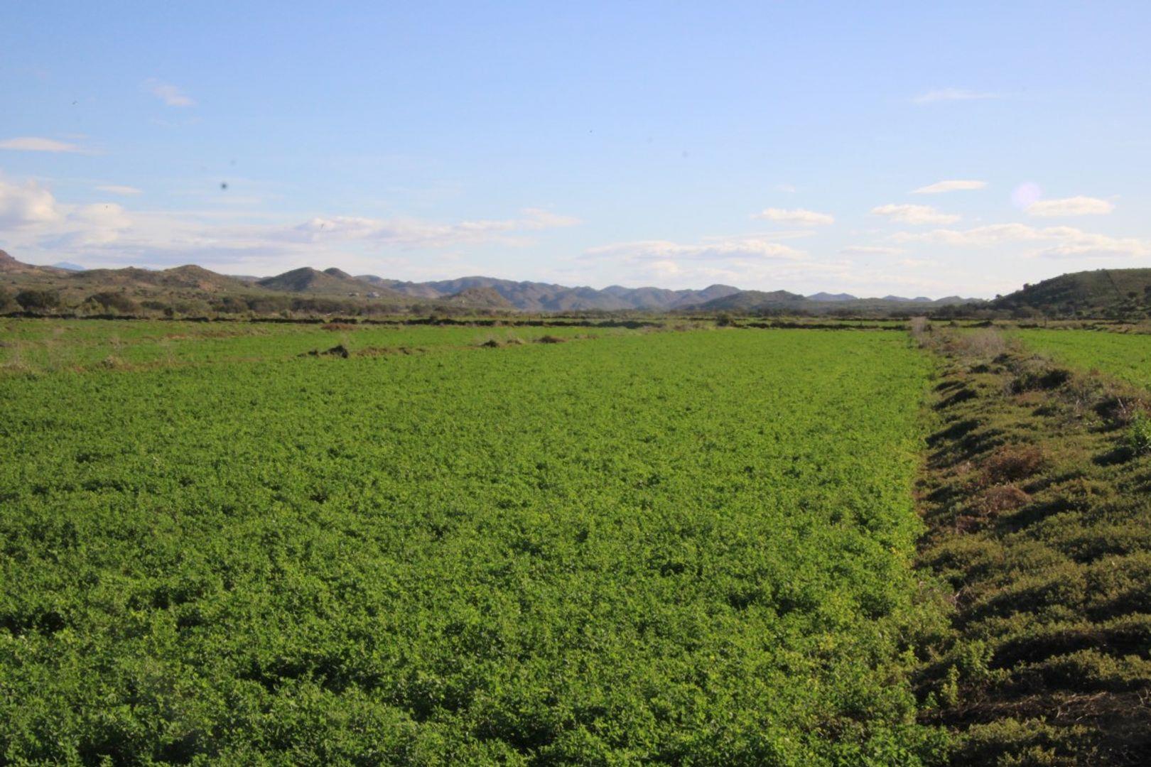 Klein Karoo Property Farm for sale in Klein Karoo