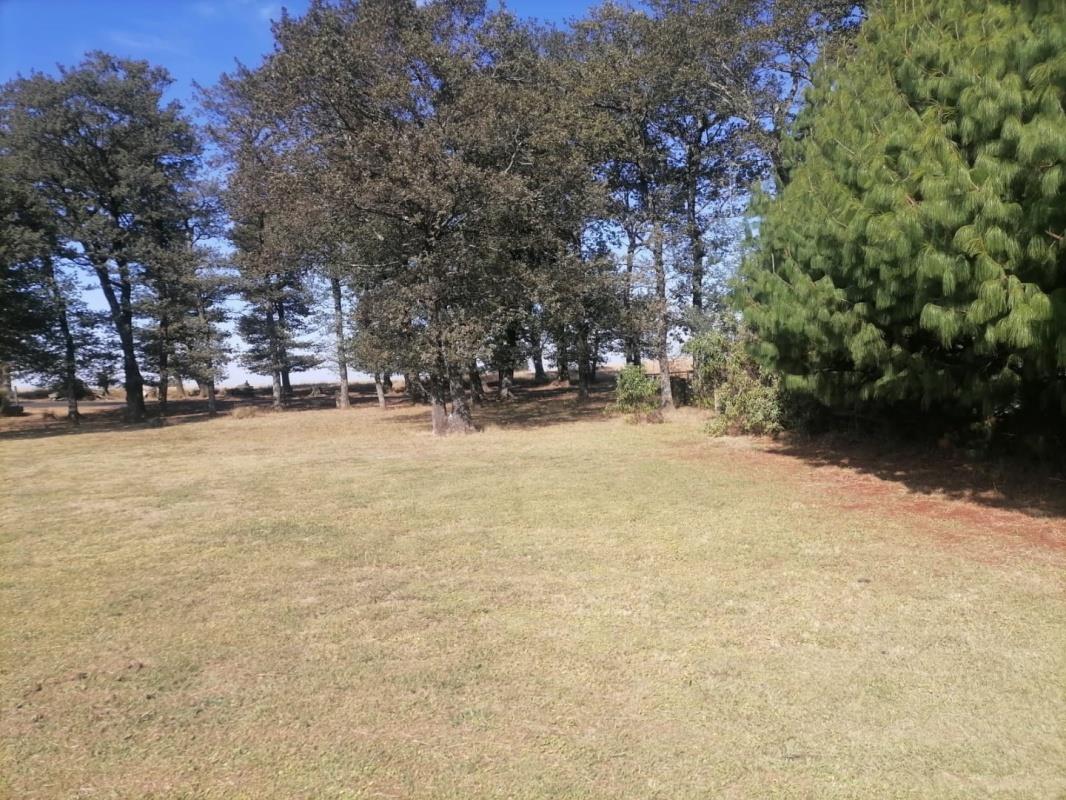 Vacant land / plot for sale in Van Reenen P24114652971