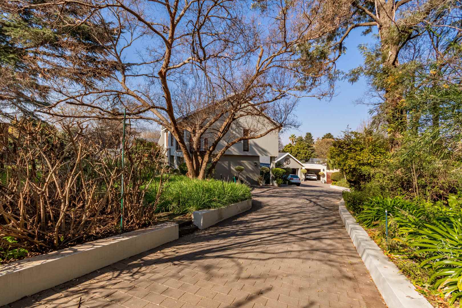 2 Bedroom Apartment / flat to rent in Bryanston 92 Wilton Ave P24