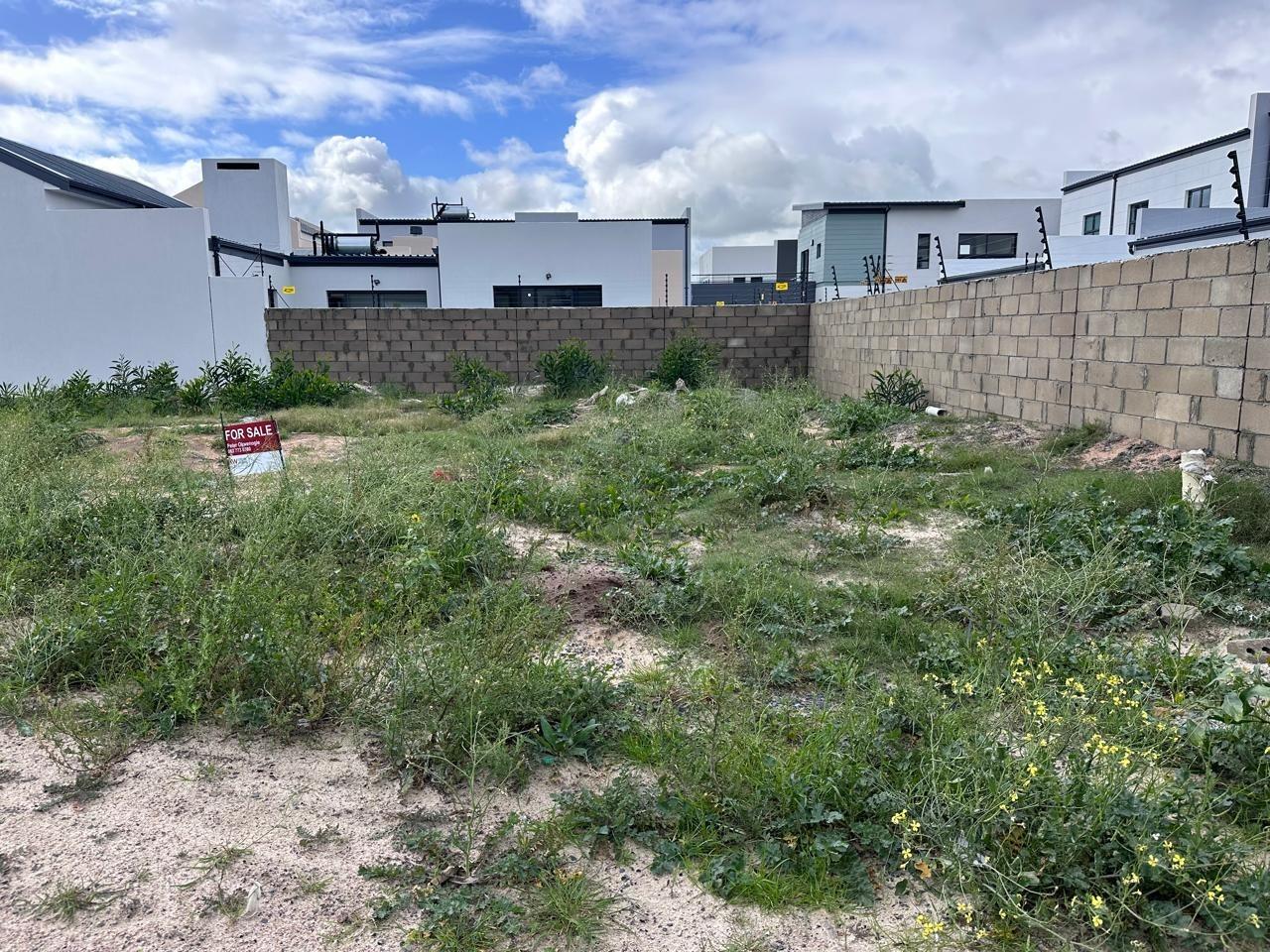 Vacant land / plot for sale in Sandown 1 Olea Street P24114673811
