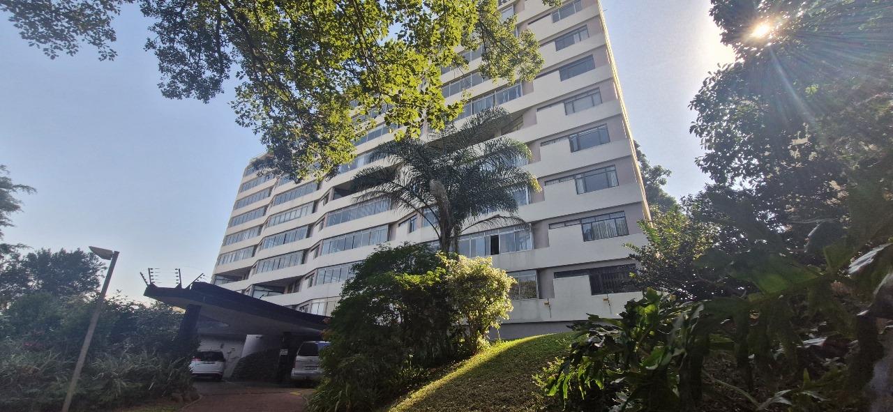 Musgrave Property Apartments / flats to rent in Musgrave Property24