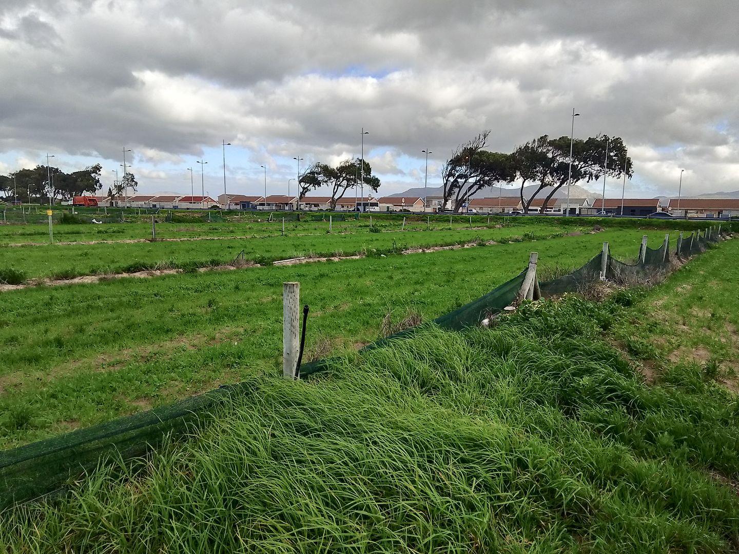 Schaapkraal Property Farms for sale in Schaapkraal