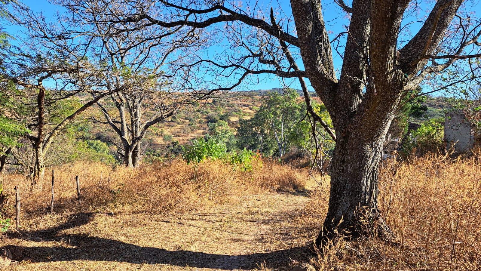 Vacant land / plot for sale in Glencoe P24114676507