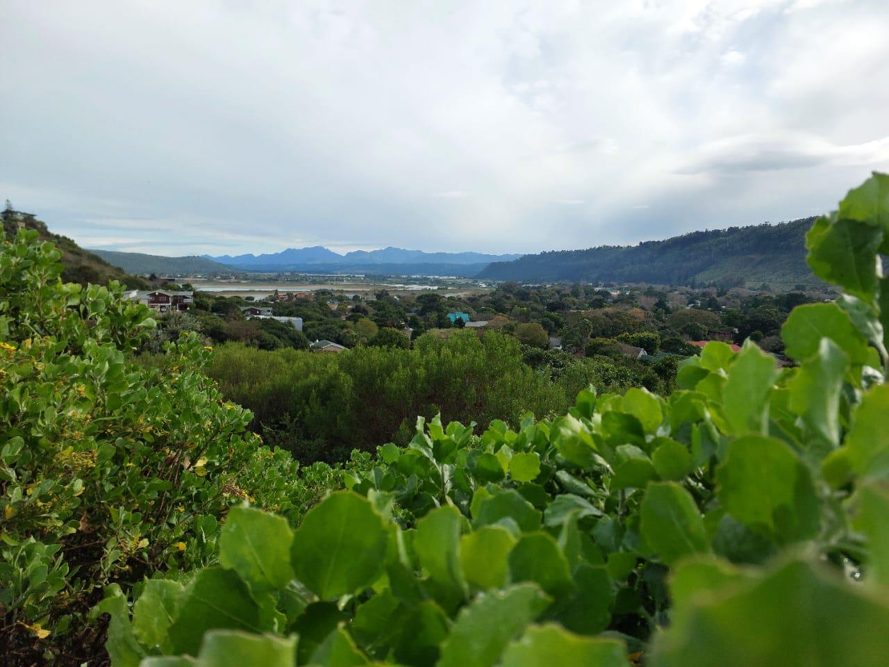 Vacant land / plot for sale in Sedgefield Central P24114680539