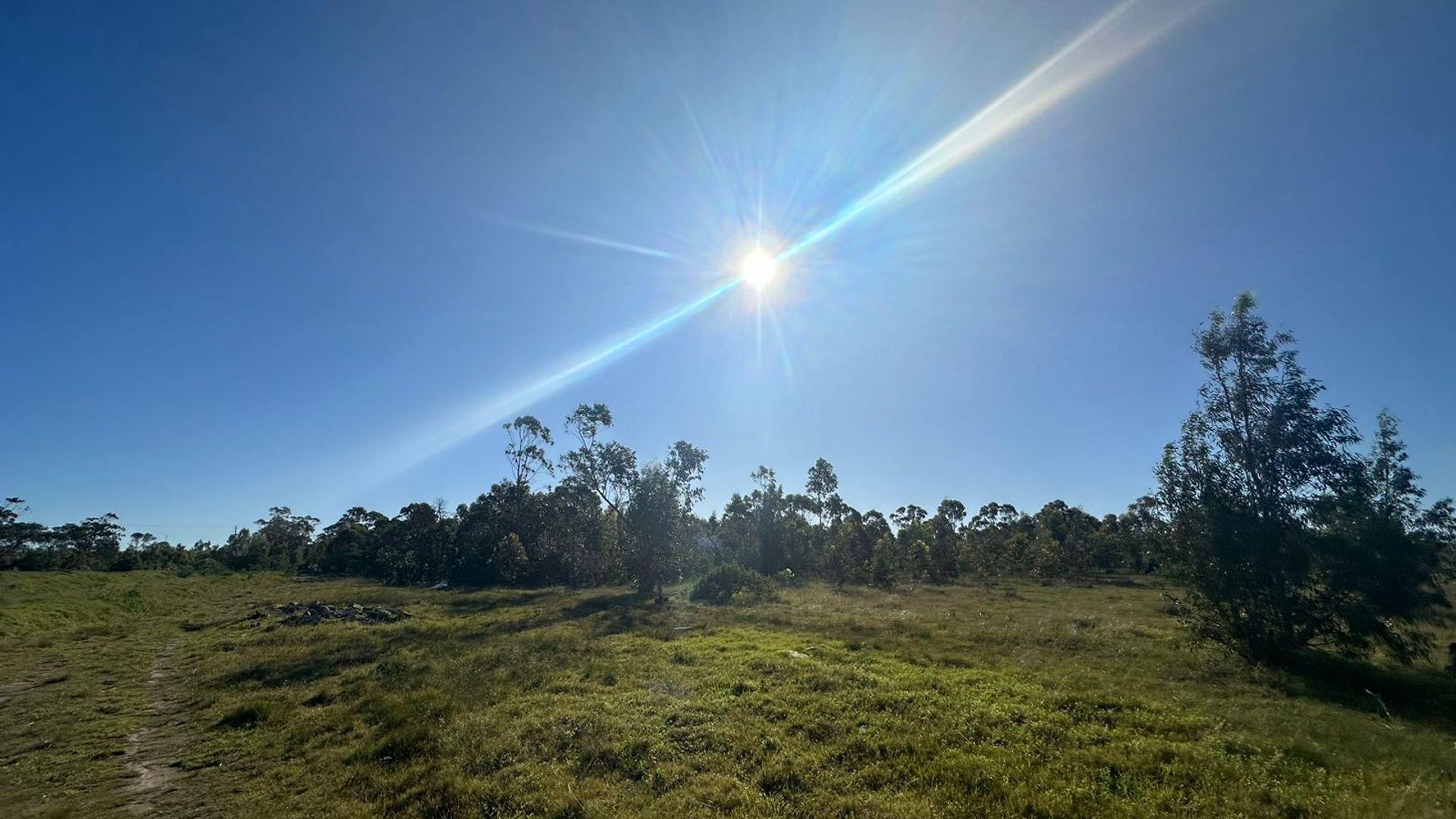 Vacant land / plot for sale in Greenbushes 67 Blommelaan P24114687083