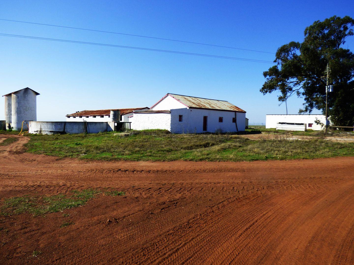 Farms for sale in Darling Darling Property