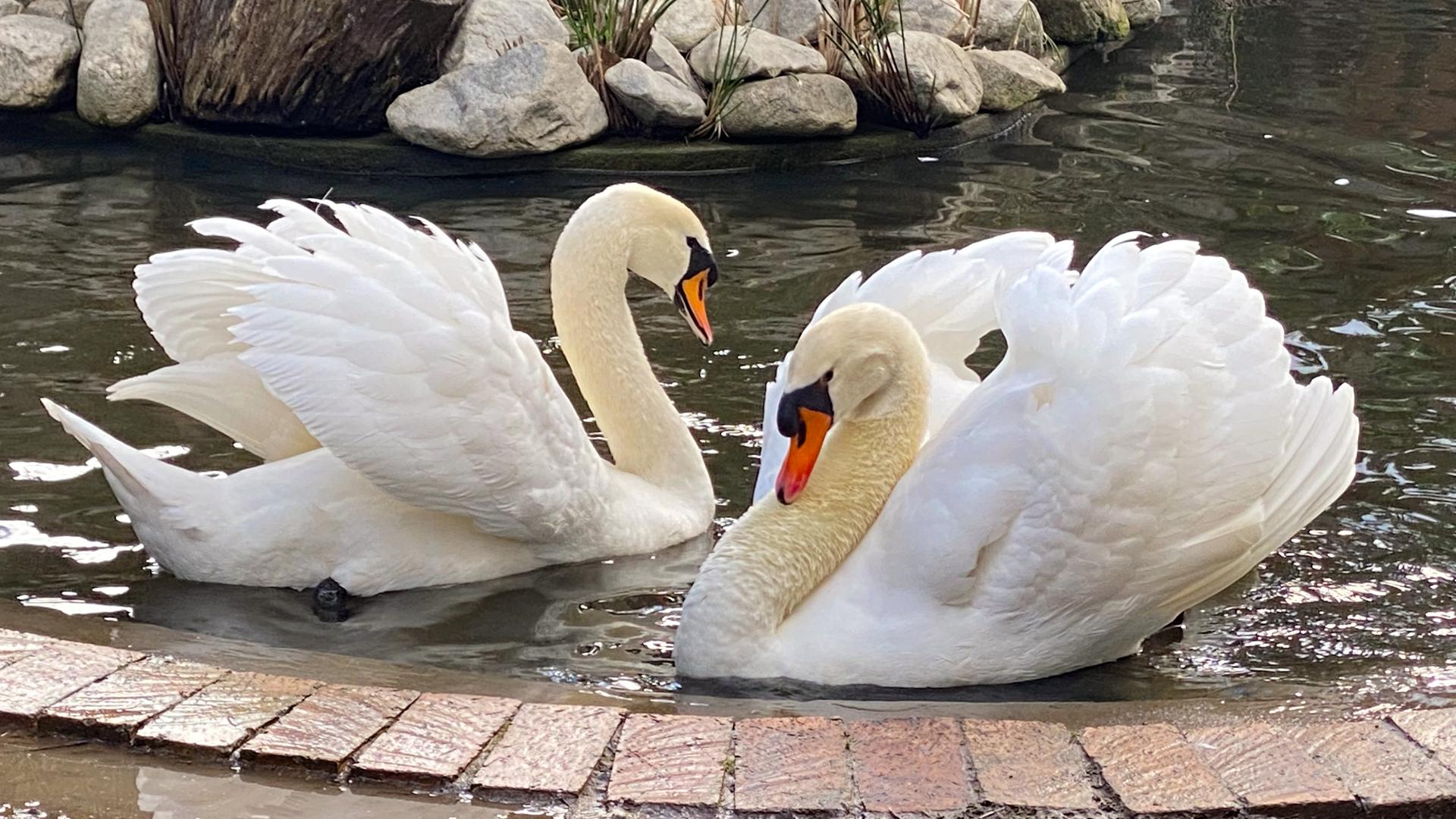 Commercial property for sale in Robertson 8 Johan De Jong Rylaan