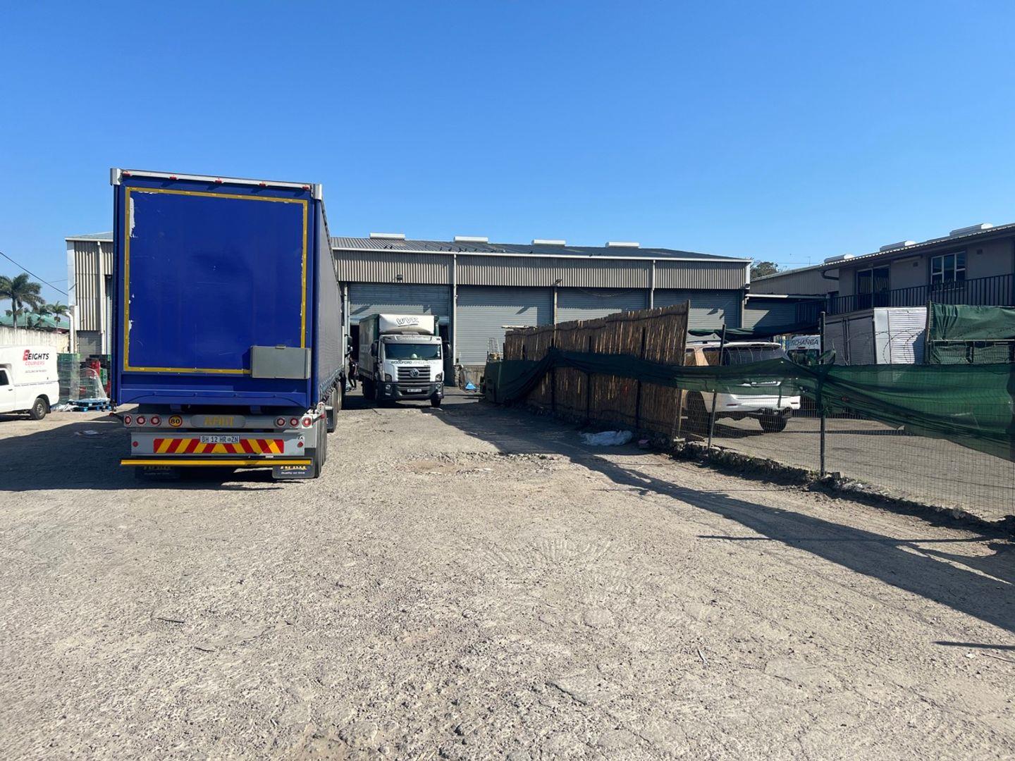 Springfield, Durban Property Property and houses to rent in