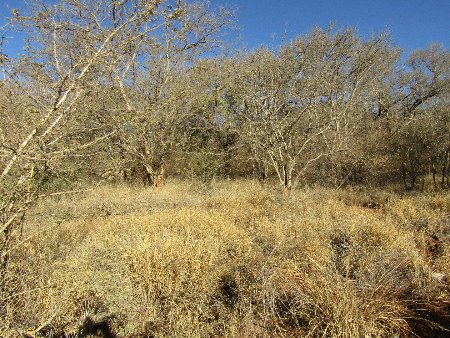 Vacant land / plots for sale in Northam Northam Property