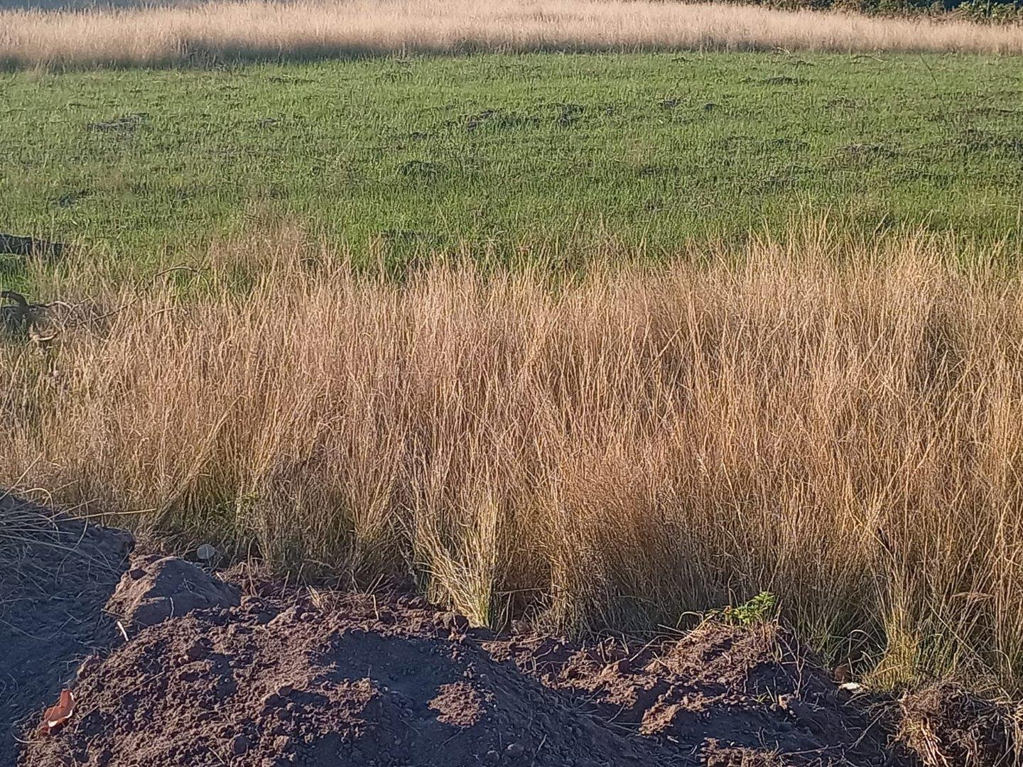 Vacant land / plots for sale in Adams Mission Adams Mission Property