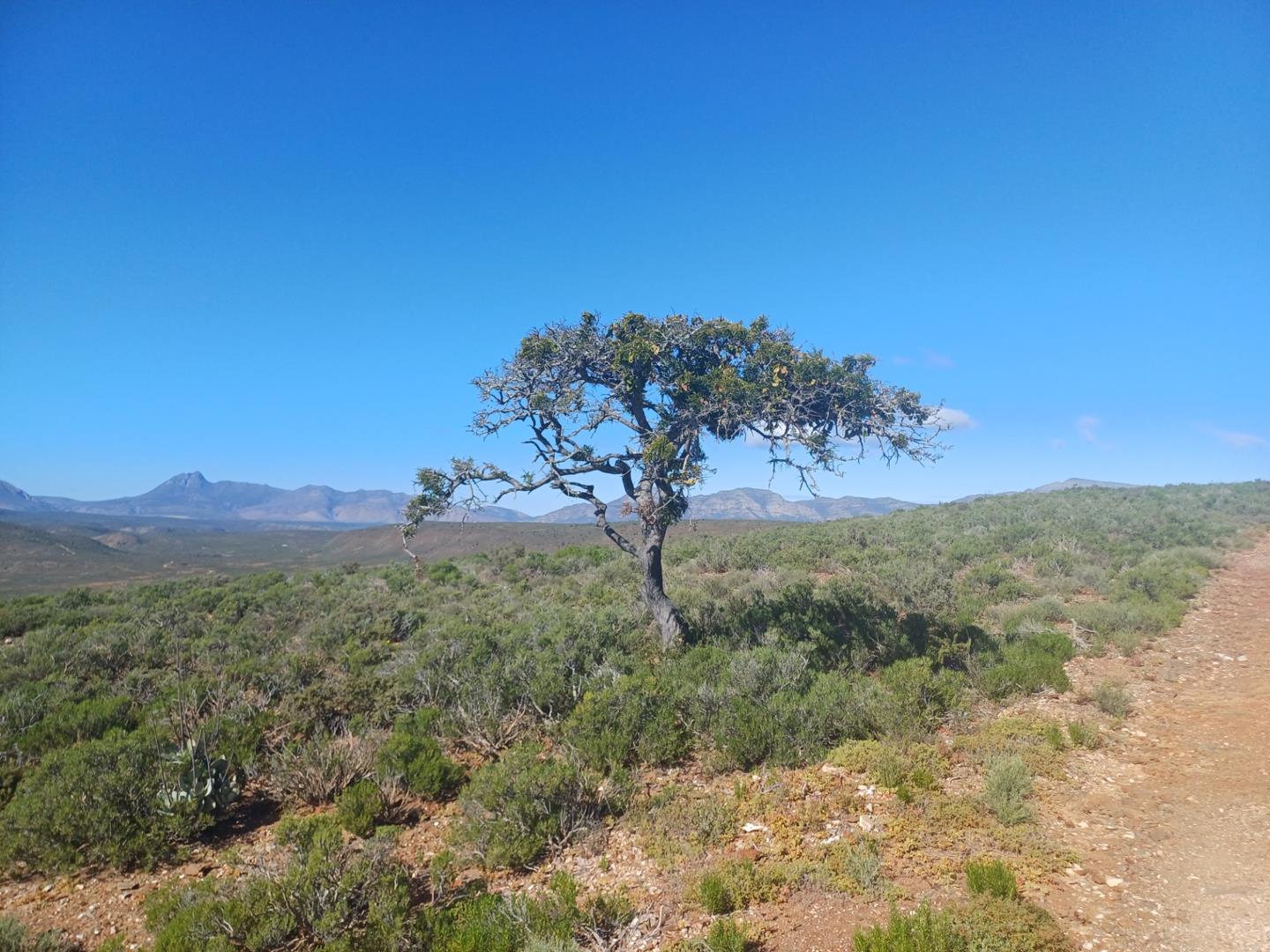 Van Wyksdorp Property Property and houses for sale in Van Wyksdorp