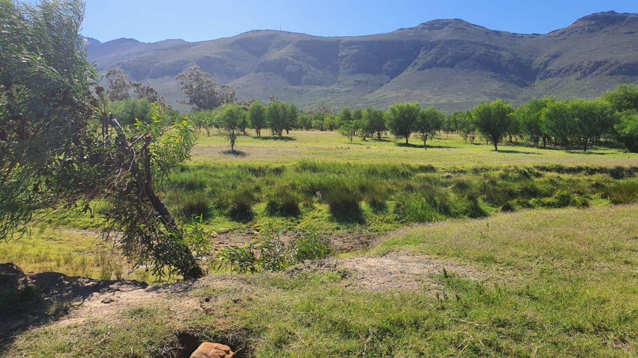 Gouda Property Property and houses for sale in Gouda