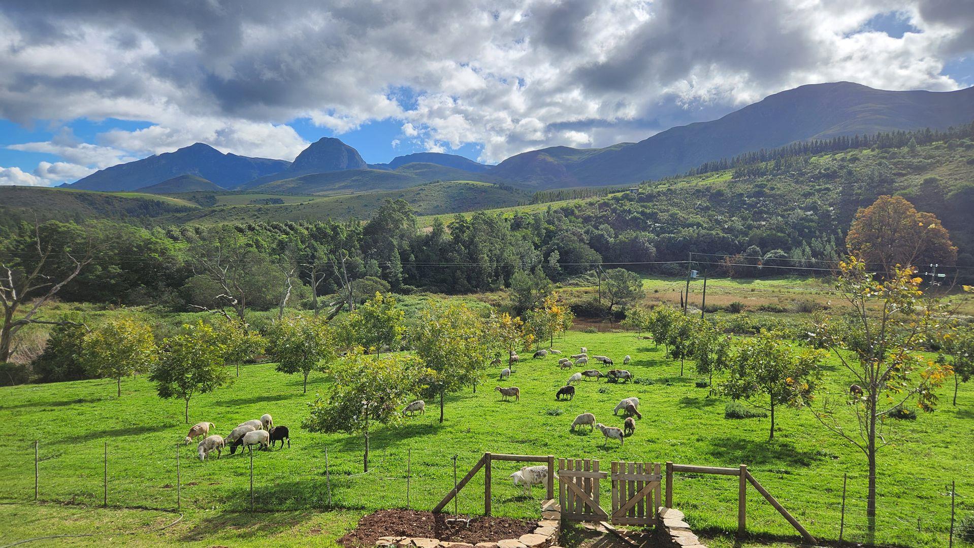 Farms for sale in Heidelberg, Western Cape Heidelberg, Western Cape