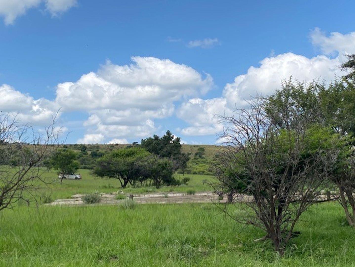 Property and houses for sale in Greytown Greytown Property