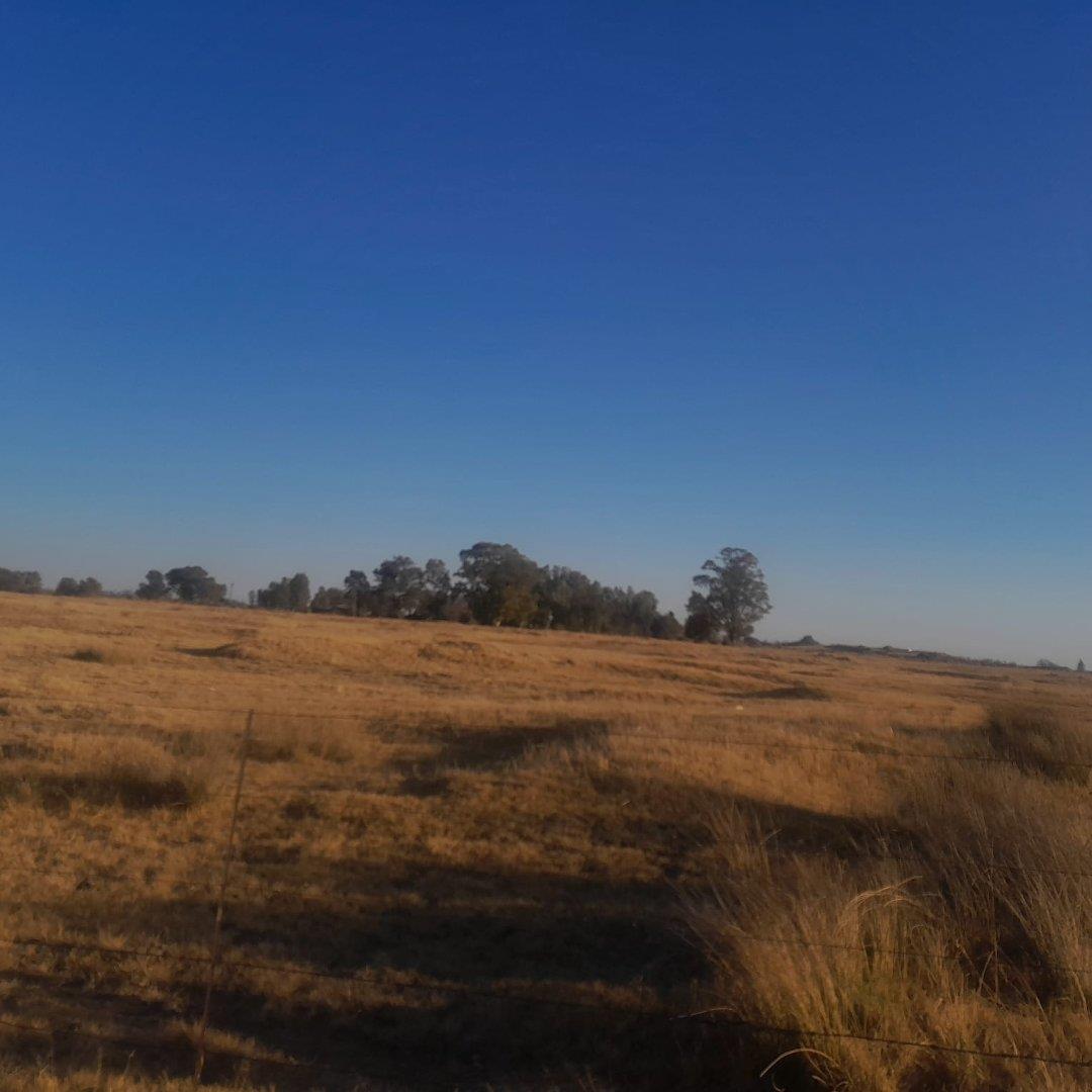 Farm for sale in Schweizer Reneke P24114906437