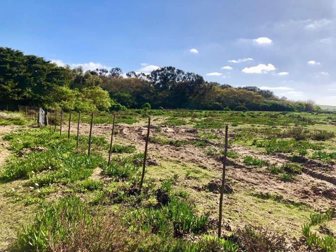 Vacant Land / Plot for Sale in Bluewater Bay