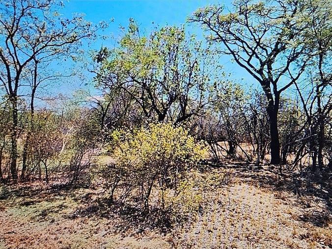 Vacant Land / Plot for Sale in Negester KleinKariba