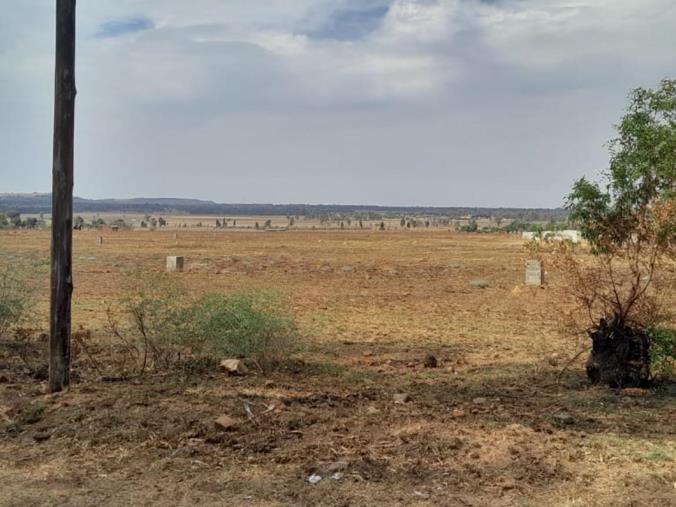 House for Sale in Ophir Estate