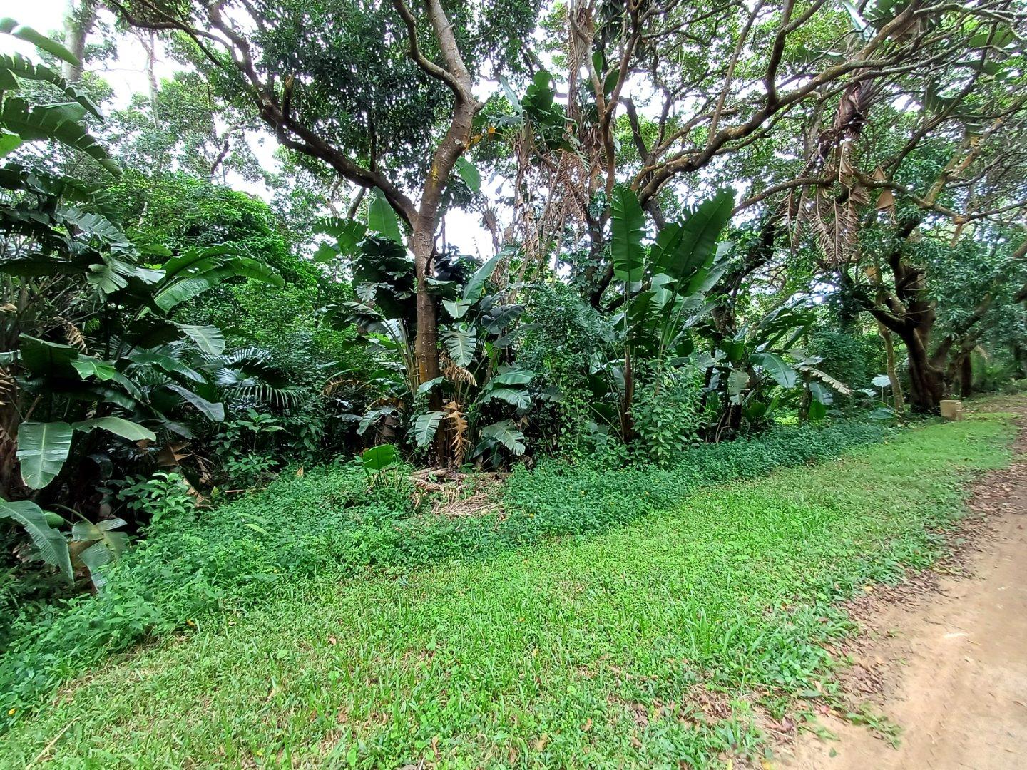 Vacant land / plot for sale in Glenmore 301 Macdonald Avenue P24