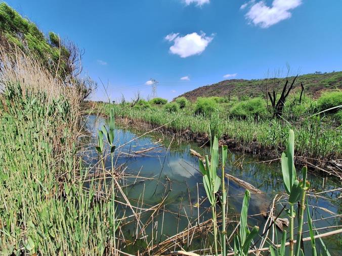 Farm for Sale in New Thorndale