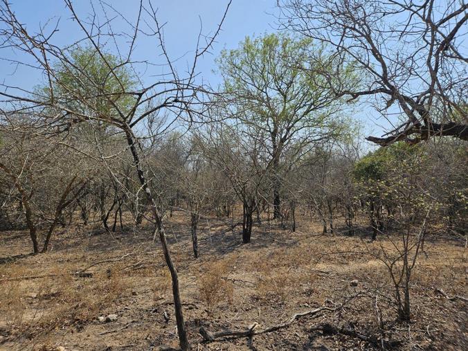 Vacant Land / Plot for Sale in Marloth Park