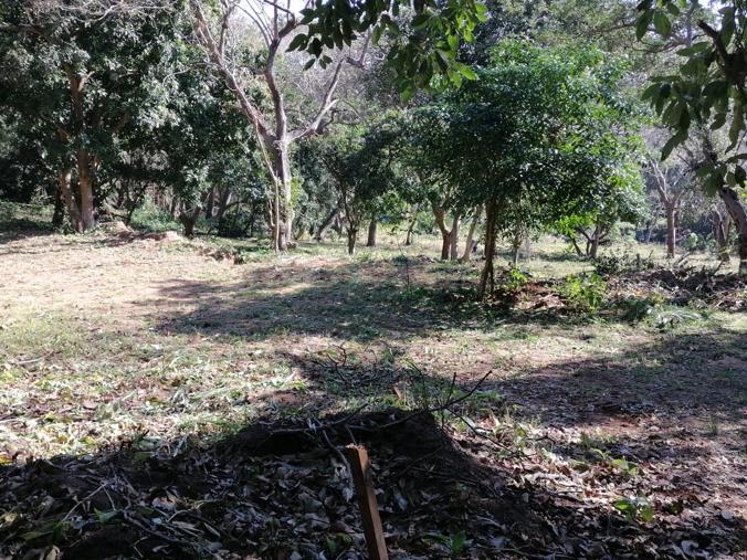 Vacant Land / Plot for Sale in Pennington