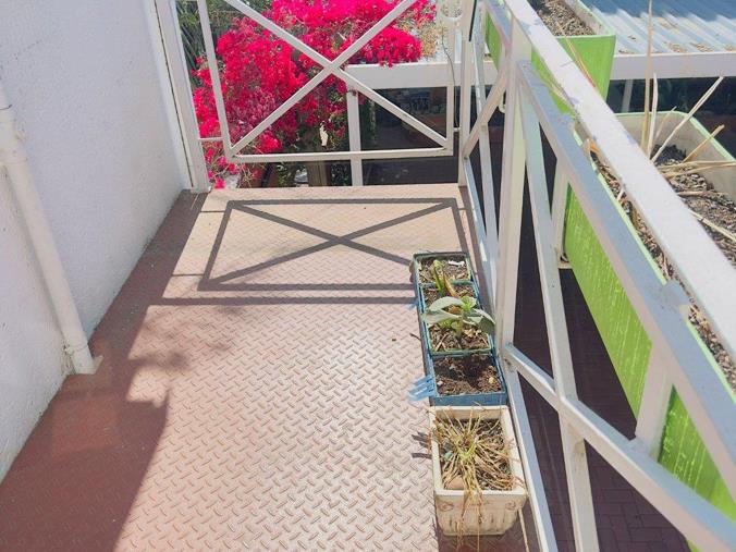 1 Bedroom Apartment / Flat to Rent in Kensington