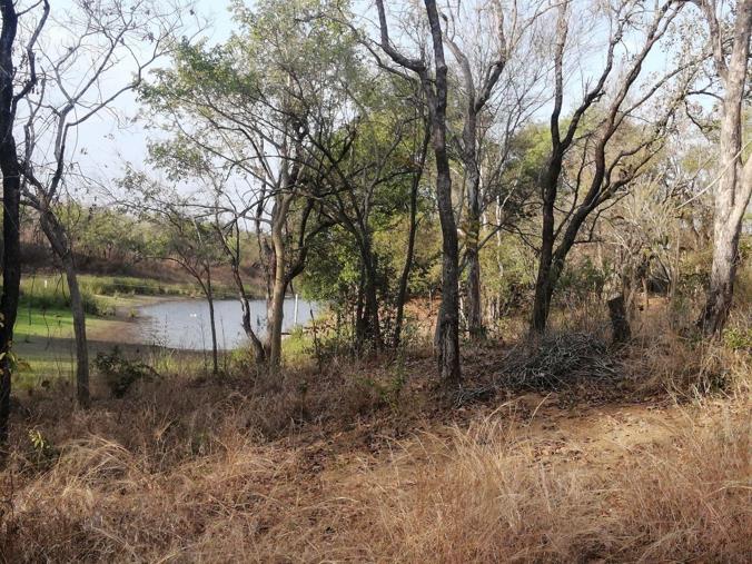 Farm for Sale in California AH