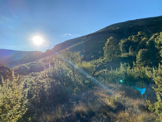 Vacant Land / Plot for Sale in Clarens Mountain Estate