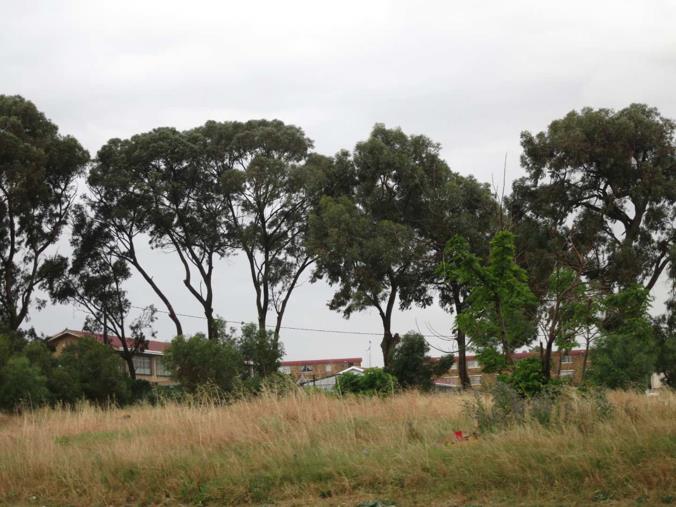 Vacant Land / Plot for Sale in Elsies River Industrial