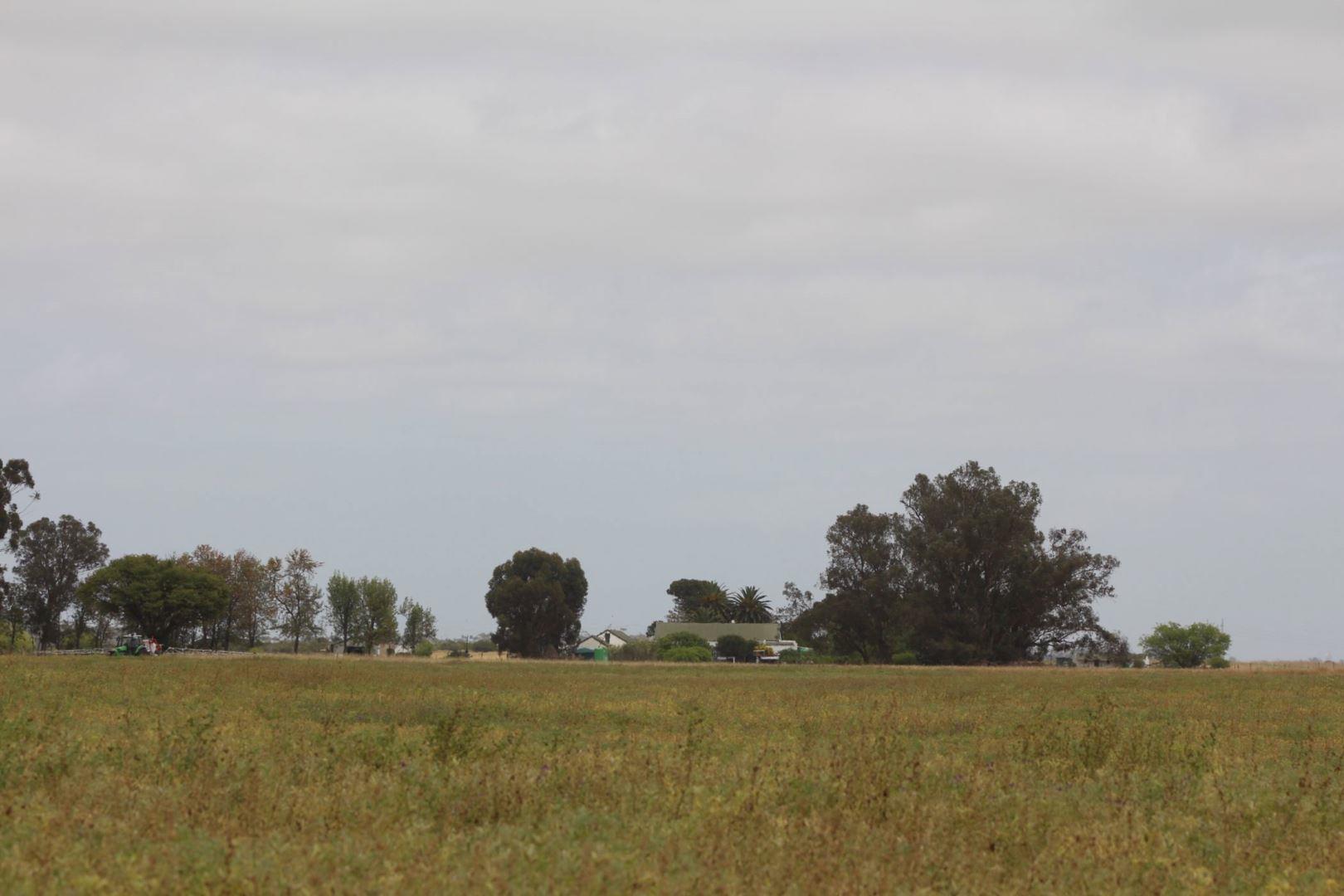 Farm for sale in Hopefield P24115141626