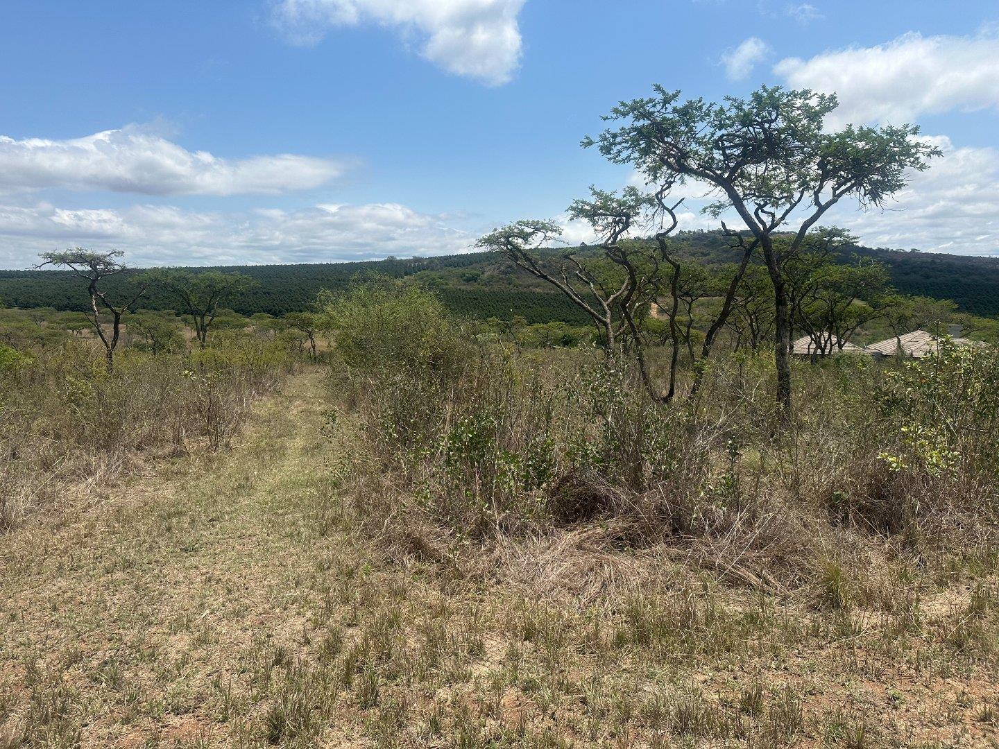 Vacant land / plot for sale in Likweti Bushveld Farm Estate P24115143454