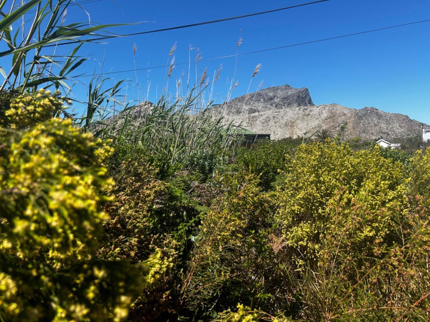 Vacant land / plot for sale in Pringle Bay 1179 (88) Hangklip Road