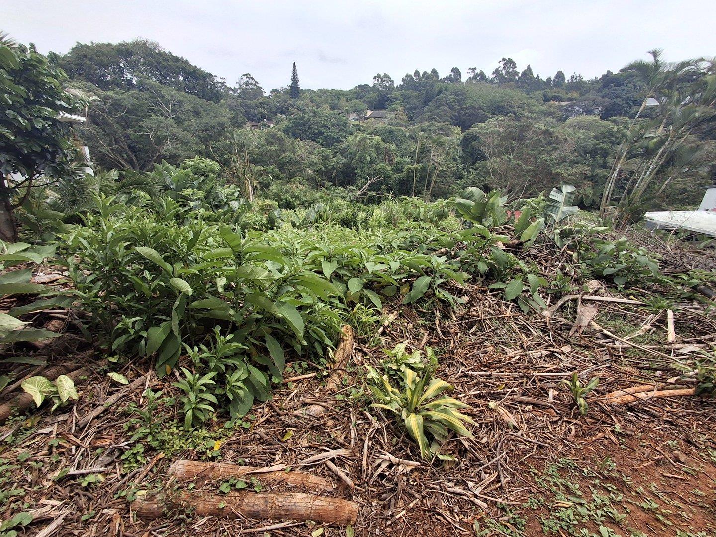 Vacant land / plot for sale in Marina Beach P24115147608