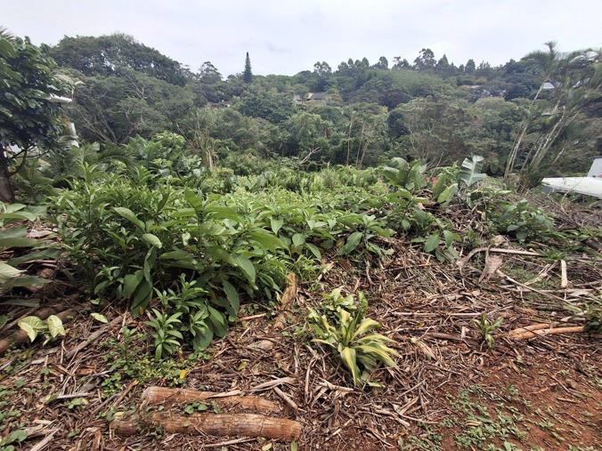 Vacant Land / Plot for Sale in Marina Beach