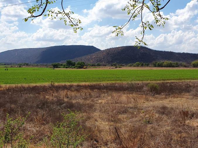 Farm for Sale in Groblersdal Rural