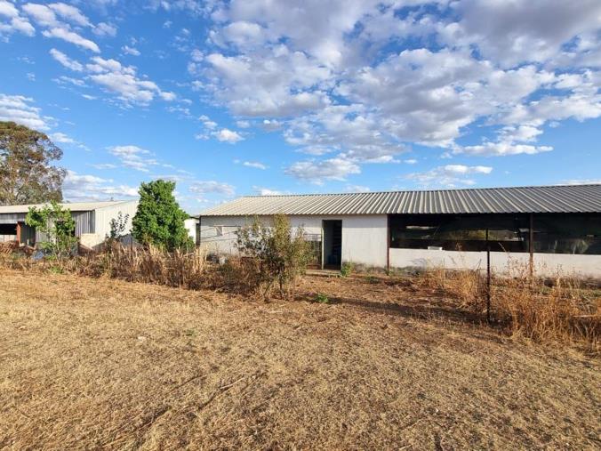 Farm for Sale in Kameeldrift West