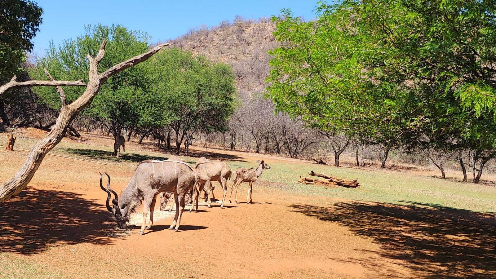 Farm for sale in Potchefstroom Rural P24115151509