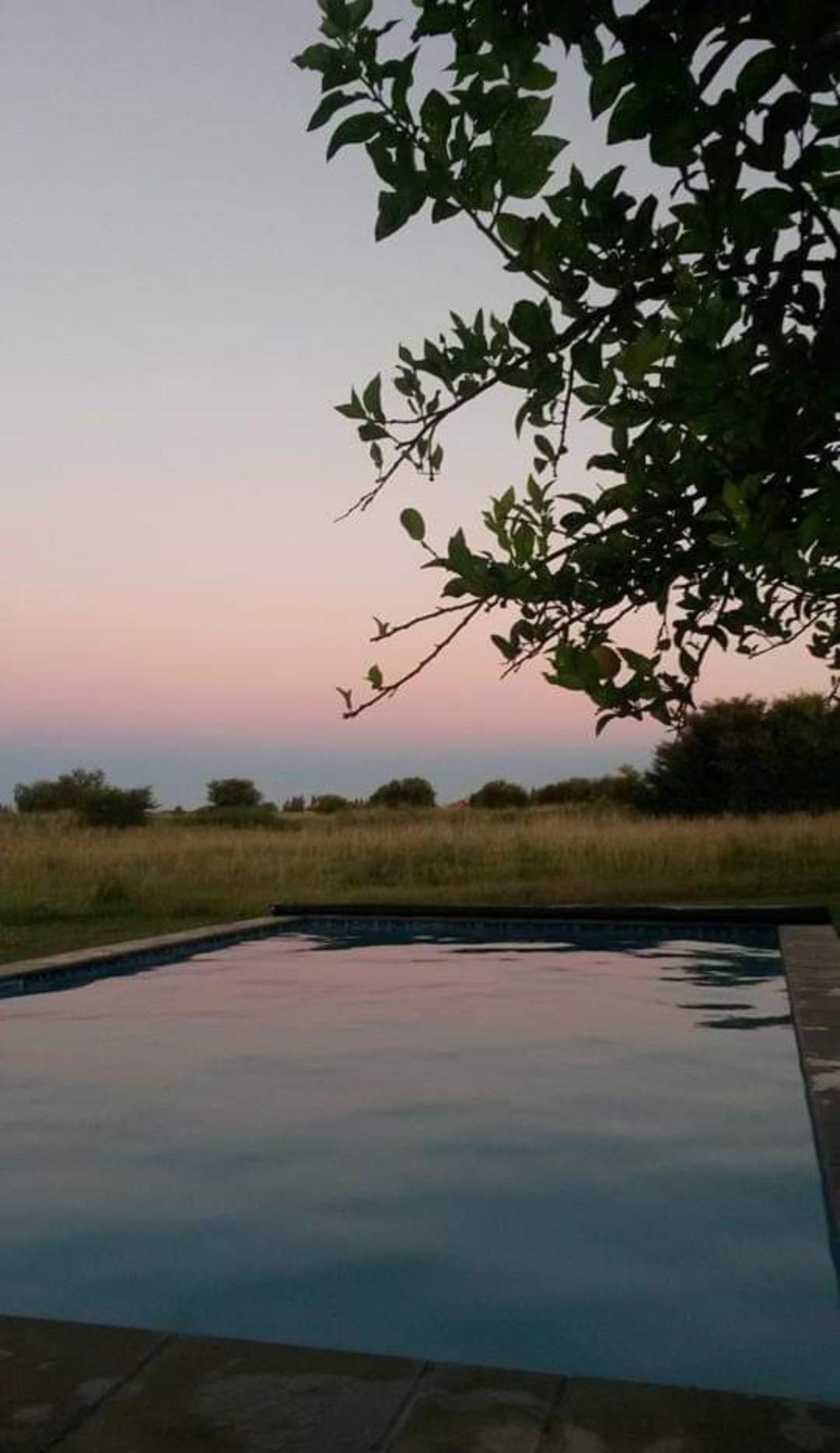 3 Bedroom House to rent in Woodland Hills Wildlife Estate P24115152635