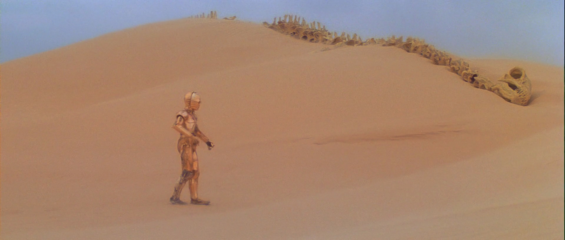 Large Krayt Dragon Skeleton Vertebrae Prop Store Ultimate Movie Collectables