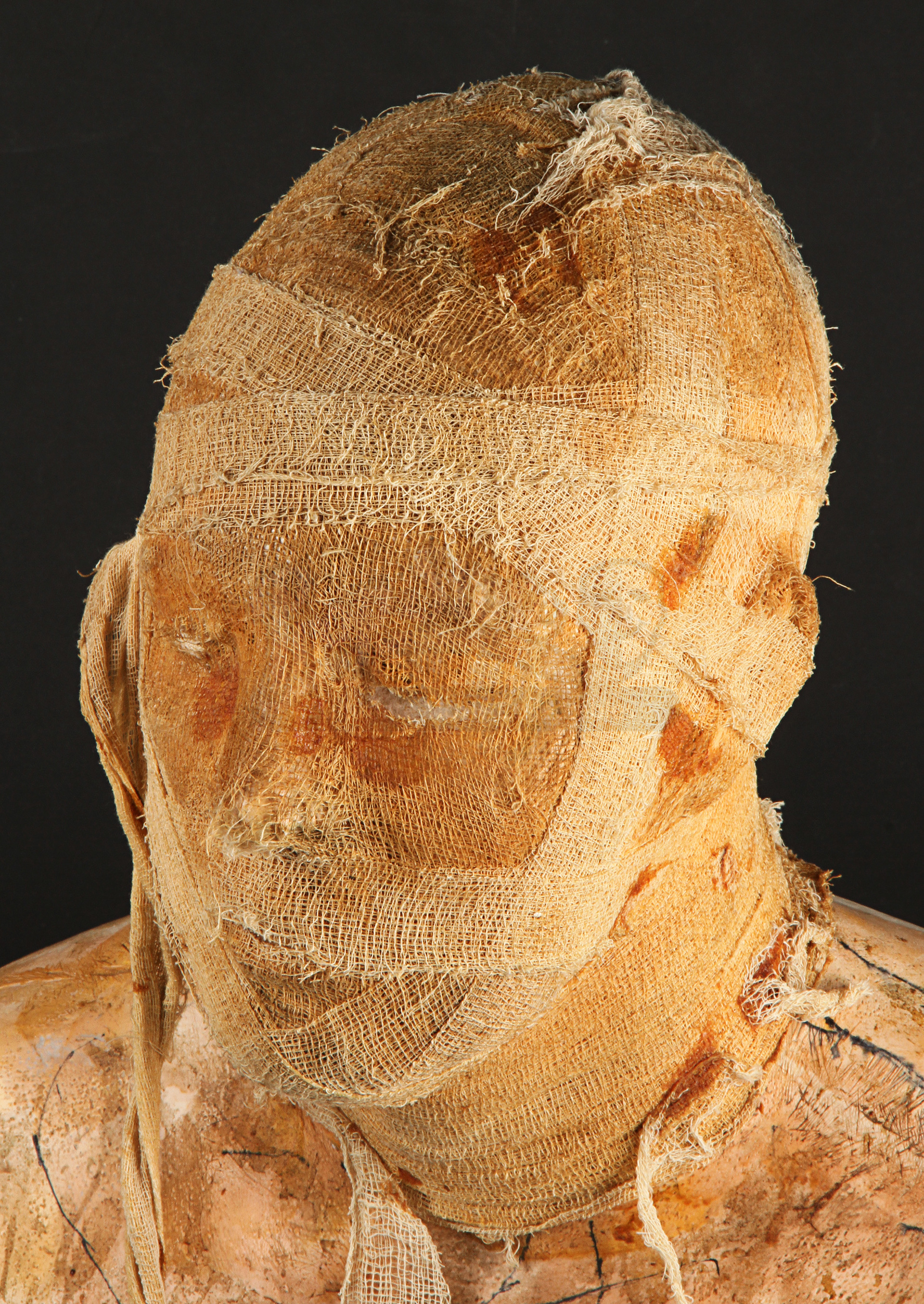 Imhoteps (Arnold Voslo) Mummification Head Applicance Bust Prop Store