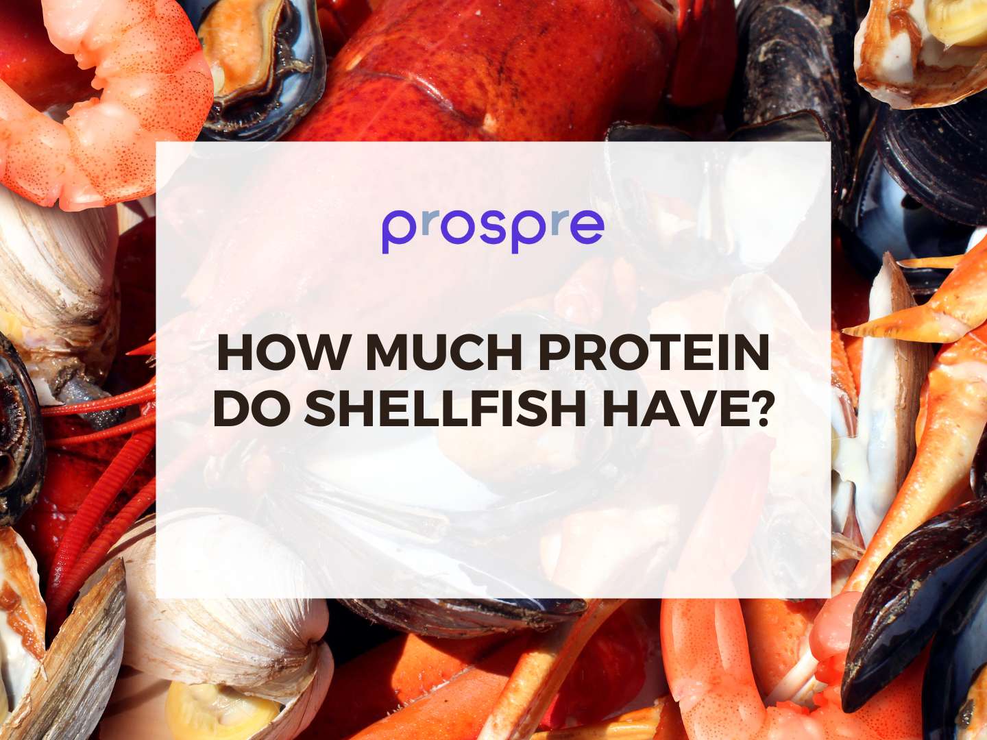 How Much Protein Do Shellfish Have?